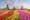 View Cruise2026 All-Inclusive Windmills, Tulips and Belgian DelightsDeal