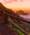 View CruiseCanary Islands Cruise: Lisbon, Madeira & TenerifeDeal