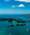View CruiseSouth Pacific & New Zealand TreasuresDeal