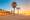 Barceloneta Beach with colourful sky at sunrise, Barcelona, Spain