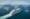 The best cruise ships for world cruises | ROL Cruise Blog