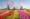 National anthems around the world | ROL Cruise Blog