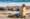 Celebrity Cruises return to service | ROL Cruise Blog