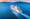 Mistake novice cruisers should avoid | ROL Cruise Blog