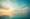 Cruise-related gift ideas | ROL Cruise Blog