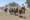 Estancia Ranch 
