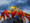 Sally Lightfoot Crab