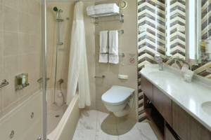 Signature Suite Bathroom, Noordam