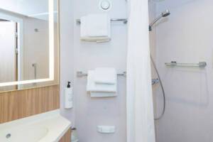 Superior Inside Cabin (K4D), Bathroom, MS Spitsbergen