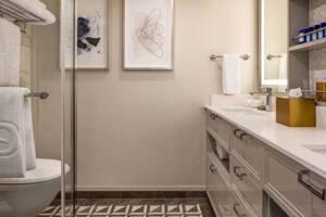 Penthouse Suite Bathroom, Allura, Oceania Cruises