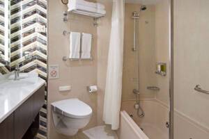 Neptune Suite Bathroom, Noordam