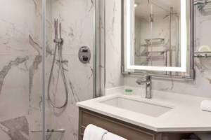 Concierge Level Veranda Stateroom Bathroom, Riviera, Oceania Cruises