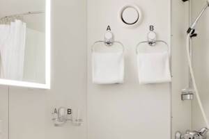 Polar Outside Cabin (N2), Bathroom, Kong Harald