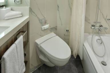 Ocean View Stateroom Bathroom, Rotterdam