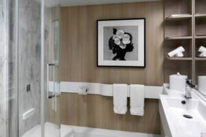 Ocean View Bathroom, Celebrity Apex