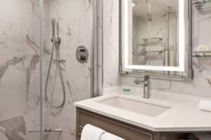 Veranda Stateroom Bathroom, Riviera, Oceania Cruises