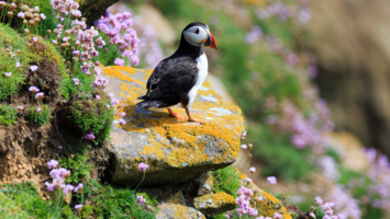 View Cruise2027 No-Fly 6★ All-Inclusive British Isles DiscoveryDeal