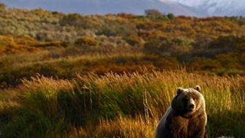 View CruiseYokohama (Tokyo) to Seattle (Washington)Deal