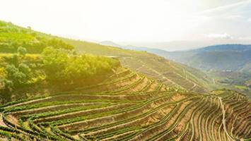 View CruiseSecrets of the Douro & MadridDeal