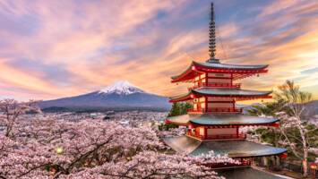 View CruiseJapan Explorer Cherry BlossomsDeal