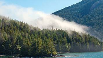 View CruiseAlaska Fjords, Canadian Inside Passage & Glacier Deal