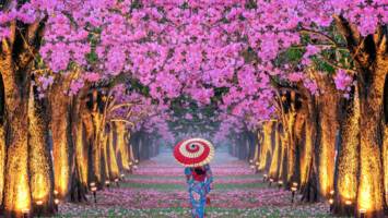 View CruiseExclusive 2027 All-Inclusive 6★ Far East Springtime DiscoveryDeal