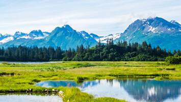 View CruiseUltimate Alaska Solstice (with Glacier Bay NationaDeal