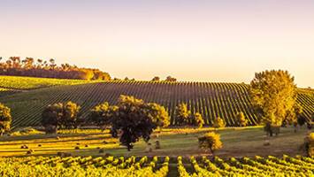 View CruiseA Portrait of Majestic France - Bordeaux to ParisDeal