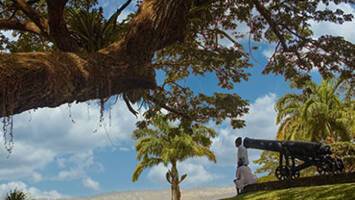 View CruiseSouthern Caribbean Cruise : Martinique, Grenada & TobagoDeal