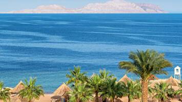 View CruiseEgypt to Saudi Arabia from Ain SokhnaDeal