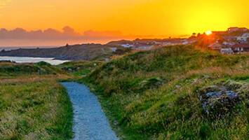 View CruiseCopenhagen to Ijmuiden (Amsterdam)Deal