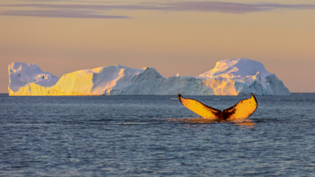 View Cruise2028 All-Inclusive Grand Greenland – Mythical Land of the NorthDeal