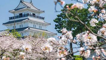 View CruiseJapan Explorer with Kumano FireworksDeal