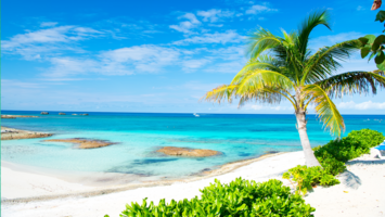 View Cruise2026 Luxury Caribbean Adventure Ft. Mexico & BahamasDeal