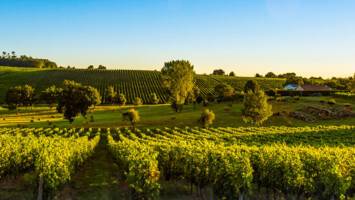 View Cruise2026 All-Inclusive 6★ Brilliant Bordeaux SaleDeal