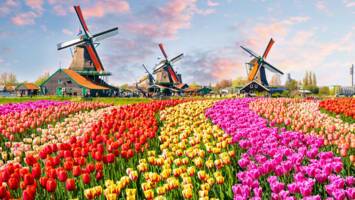 View Cruise2027 All-Inclusive Tulips & Windmills 6★ River Cruise SaleDeal