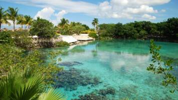 View CruiseCaribbean: Harvest Caye, Roatan & Grand CaymanDeal