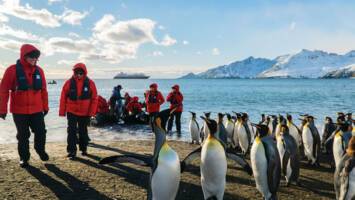 View Cruise2026 All-Inclusive Ultra-Luxury Expedition to AntarcticaDeal