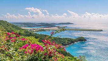 View CruiseAntigua, Dominica, St. Kitts, St. ThomasDeal