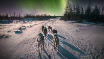 View CruiseExclusive 2026 Northern Lights SaleDeal