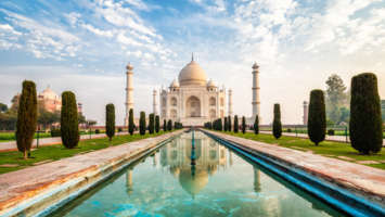 View Cruise2027 Japan Ft. Indian Golden Triangle, Shimla & Tiger SafariDeal