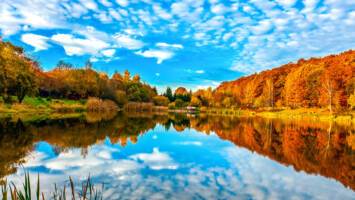 View Cruise2026 No-Fly Canada & New England in the FallDeal