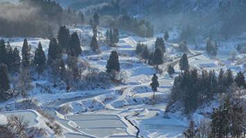 View CruiseBest Of JapanDeal