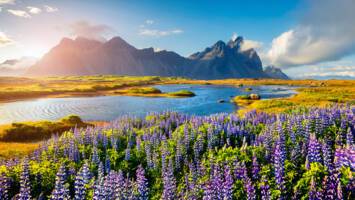 View Cruise2027 All-Inclusive Ultra-Luxury Iceland & GreenlandDeal