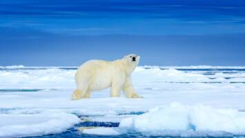 View CruiseAll-Inclusive 2027 Through the Arctic Labyrinth & Northwest PassageDeal