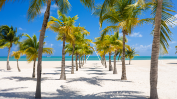 View Cruise5★ Maiden 2028 Mexico & Belize VoyageDeal