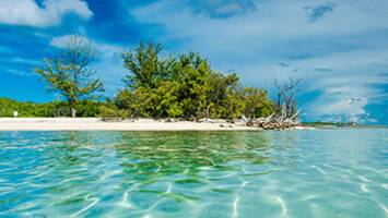 View CruiseKey West & Bahamas CruiseDeal