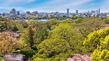 View CruiseTokyo to TokyoDeal