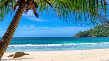 View CruiseCaribbeanDeal