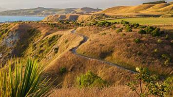 View CruiseNew Zealand DelightsDeal